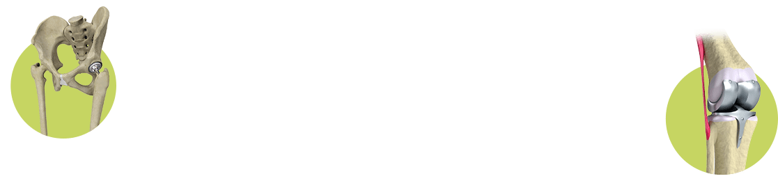 Decorative shape