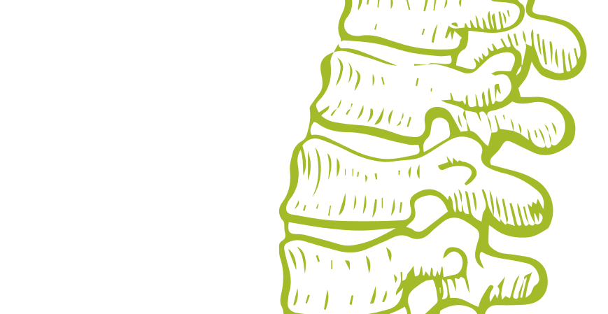 Decorative shape